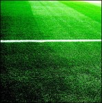 football pitch, grass and markings
