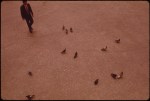 Man walking towards pigeons
