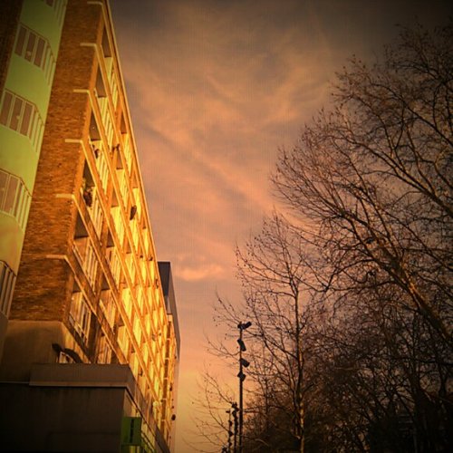 Buildings, trees, sky