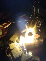 Toasting marshmallows on a campfire