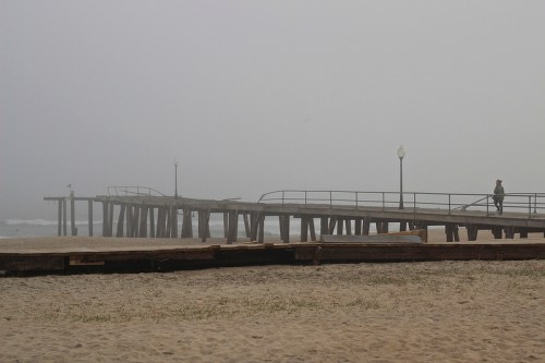 Coastline post-Hurricane Sandy