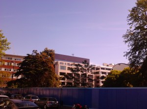 Trees poking out from behind a boarded-up school