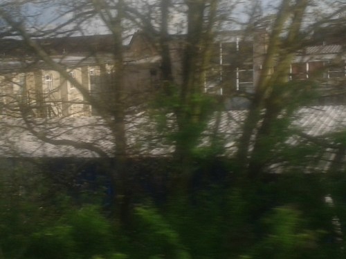 old industry through trees