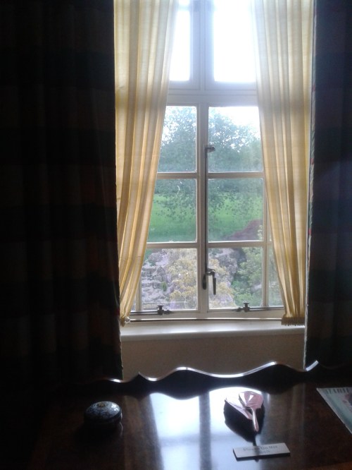 View from desk to garden