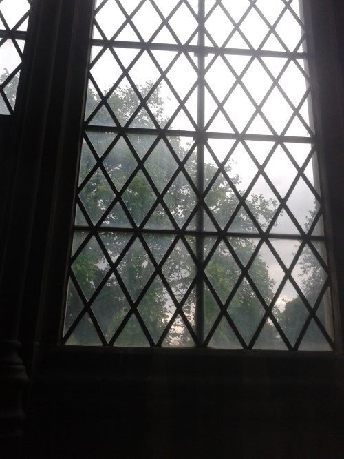 View of trees from window