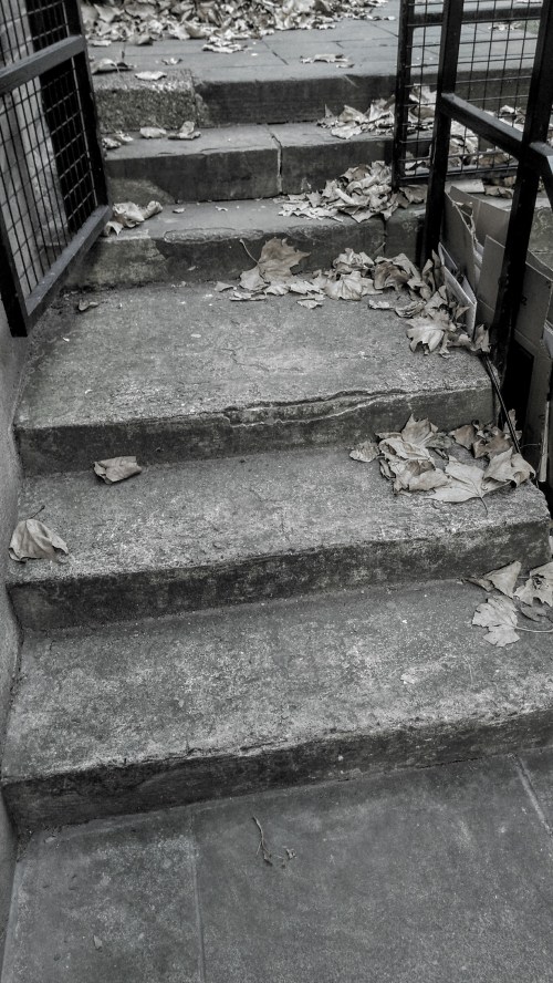 Steps and leaves