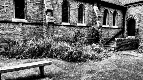 Flowers in the grounds of a church