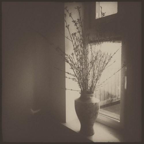 IMG_20200322_172819354-01