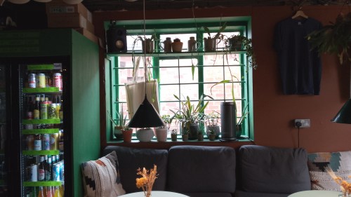 Interior of Some Where, Beeston. There is a beer fridge, a comfy sofa and a window painted green with the window sill covers in plants.